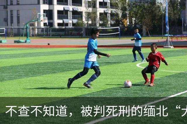 不查不知道，被判死刑的缅北“大小姐”明珍珍，私下生活能有多壕