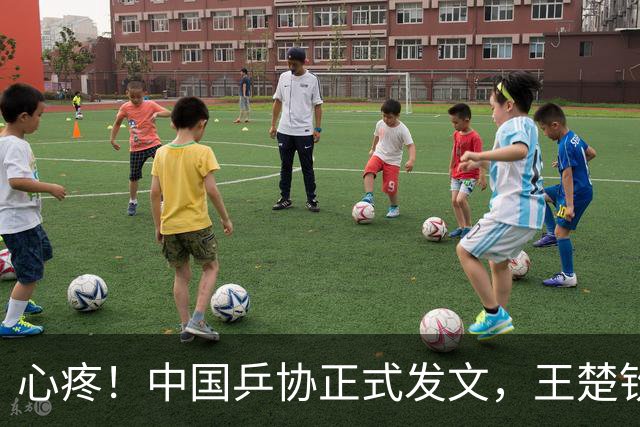 心疼！中国乒协正式发文，王楚钦新决定，球迷不安，孙颖莎奔赴